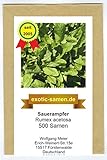 Sauerampfer - Rumex acetosa - 500 Samen