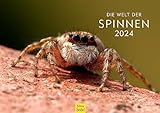 Edition Seidel Premium Kalender Die Welt der Spinnen 2024 Format DIN A3 Wandkalender Tierkalender...