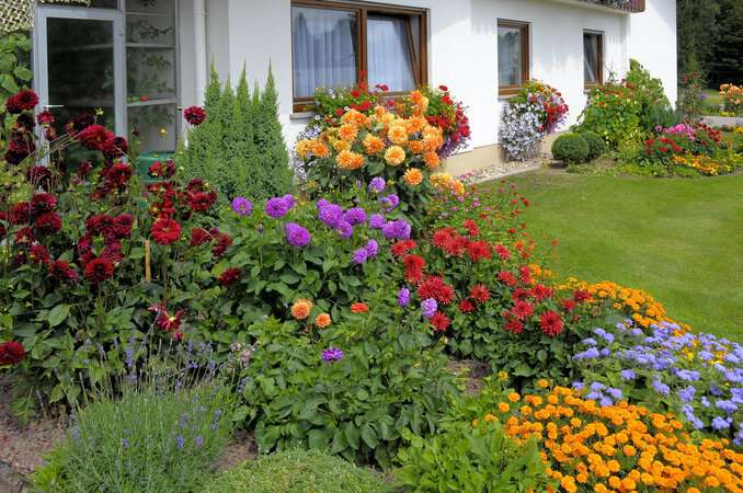 Blumen im Garten