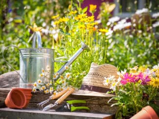 Blühender Garten im eigenen zu Hause